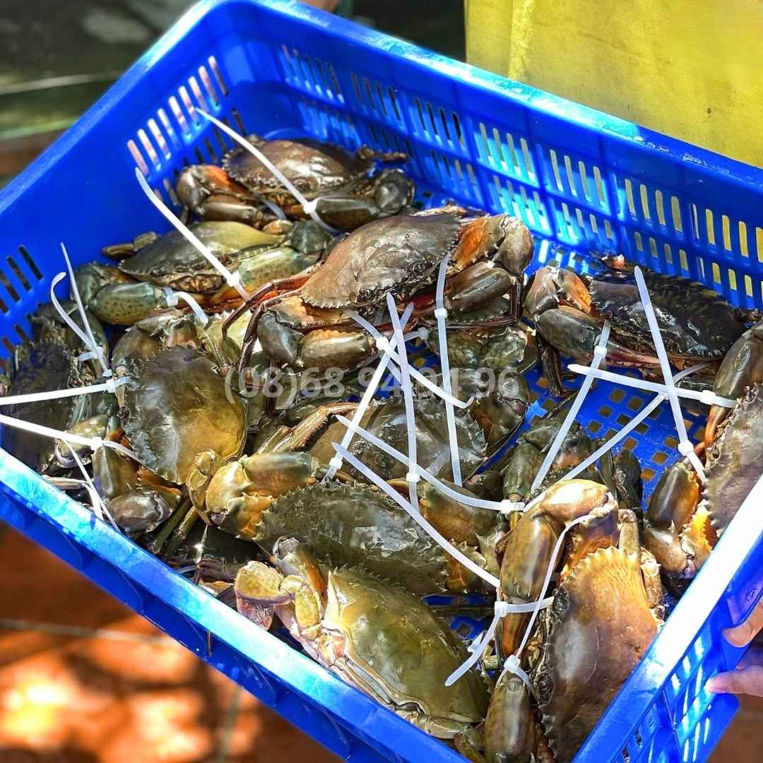 cua không dây tư ghẹ